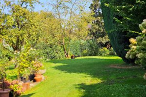 Garten vom Obergeschoss