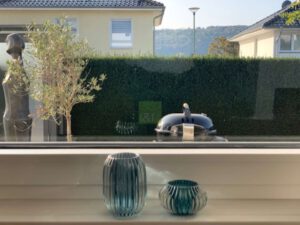 Blick in den Garten