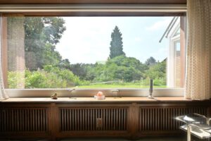 Blick in den Garten