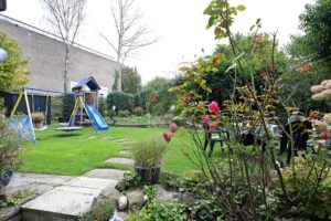 Blick in den Garten